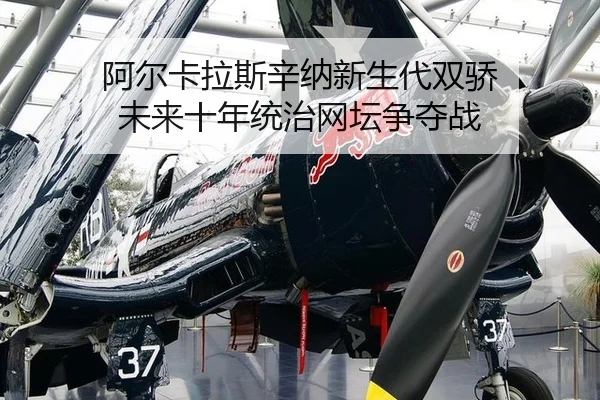 a-er-ka-la-si-xin-na-xin-sheng-dai-shuang-jiao-wei-lai-shi-nian-tong-zhi-wang-tan-zheng-duo-zhan-2-738.jpg